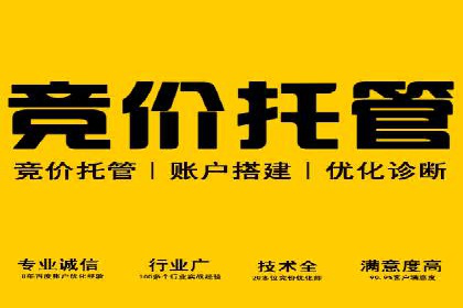 案例解读：如何通过专业SEM托管提升广告质量